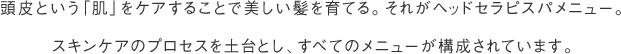頭皮という「肌」をケアすることで美しい髪を育てる。それがヘッドセラピスパメニュー。スキンケアのプロセスを土台とし、すべてのメニューが構成されています。