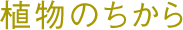 植物のちから